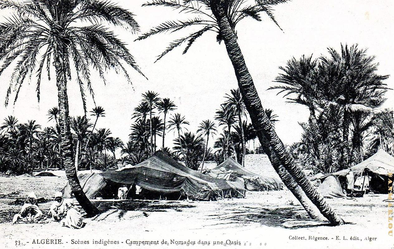 Algerie - Oasis - Campement Nomades.jpg